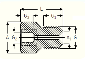 Картинка 1008593 Е Переходник с трубной резьбой SKF от компании «BC Industry» - Профессиональное оборудование для обслуживания промышленных трансмиссий, подшипниковых узлов, валов, ременного привода, шкивов, валов. Инструменты монтажа и демонтажа подшипников, выверка шкивов, соосности, лазерная центровка валов - Алматы, Шымкент, Казахстан..
